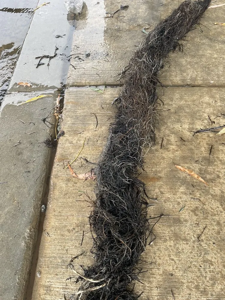 Slide of Empire Plumbing