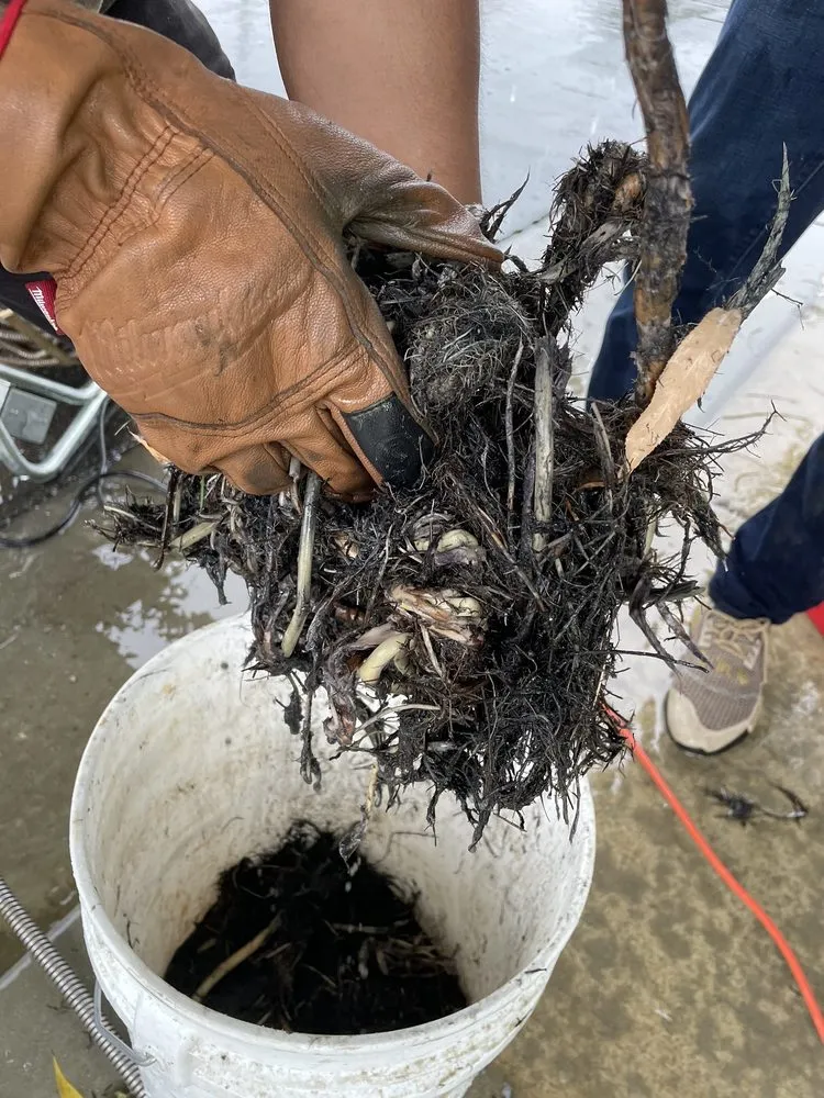 Slide of Empire Plumbing