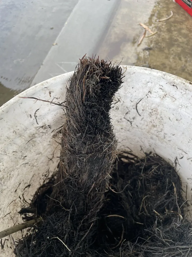 Slide of Empire Plumbing