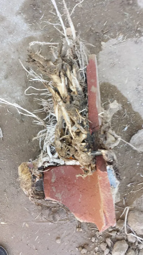 Slide of Empire Plumbing