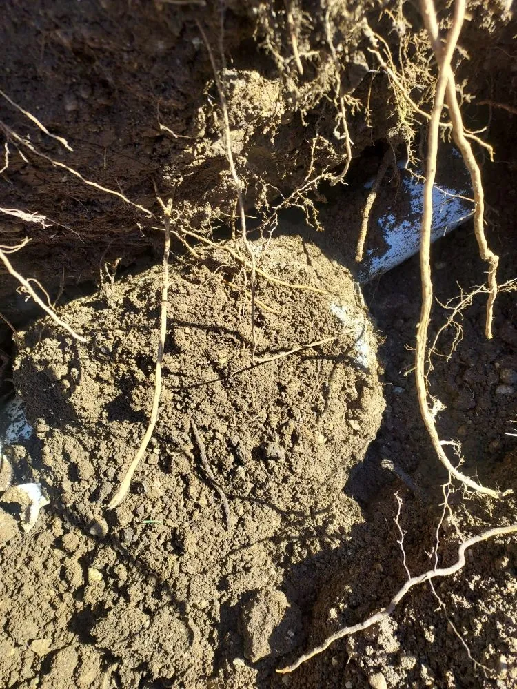 Slide of Empire Solution Contracting