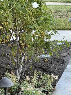 Enough Plumbing & Drains Logo