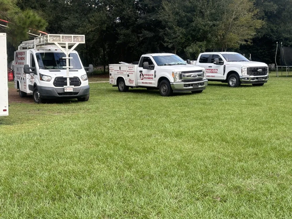 Slide of Enriques plumbing