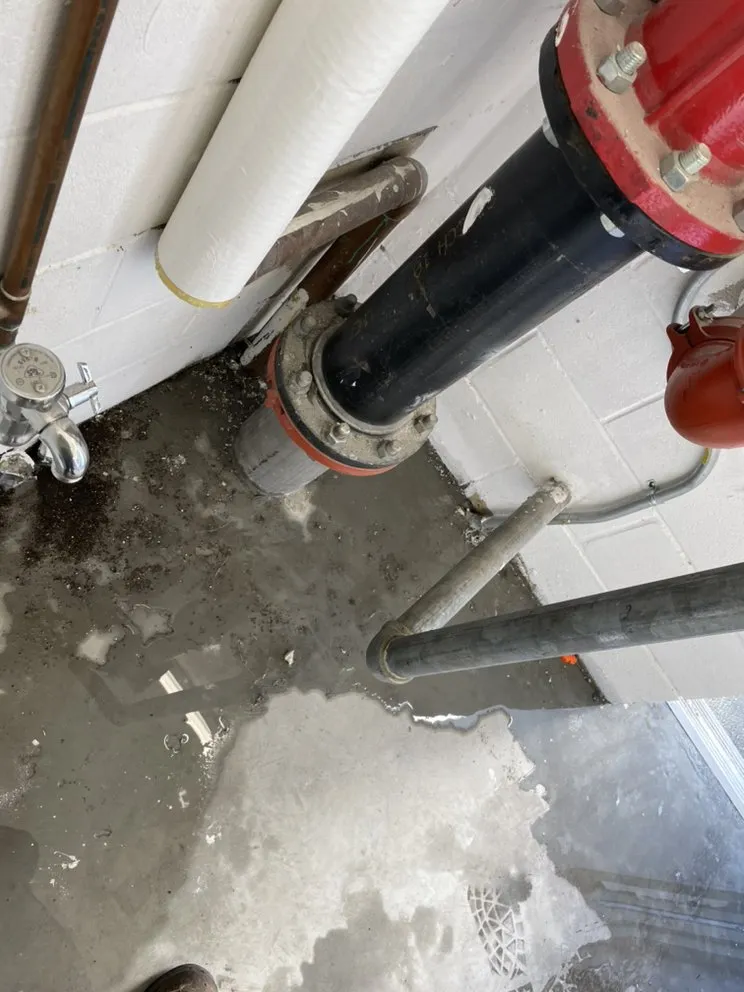 Slide of Enriques plumbing