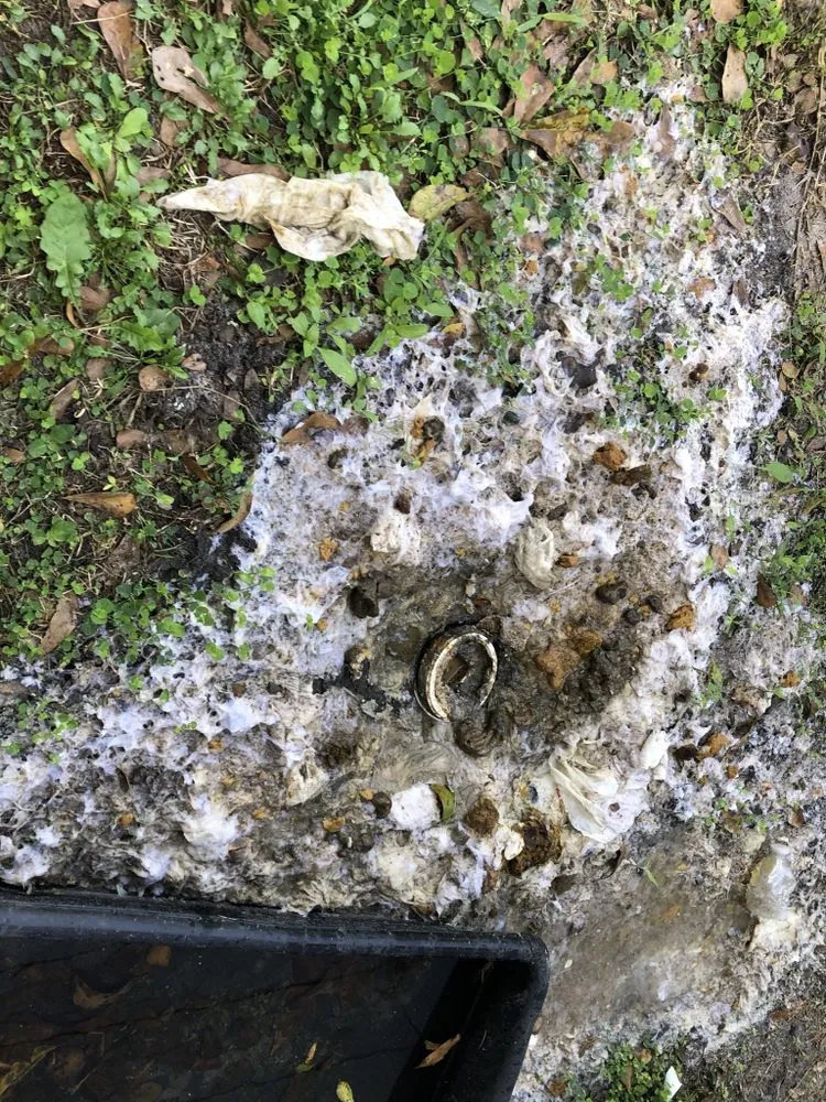 Slide of Enriques plumbing