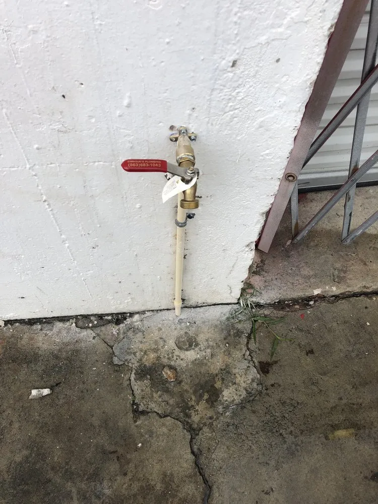 Slide of Enriques plumbing