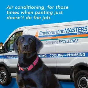 Slide of Environment Masters