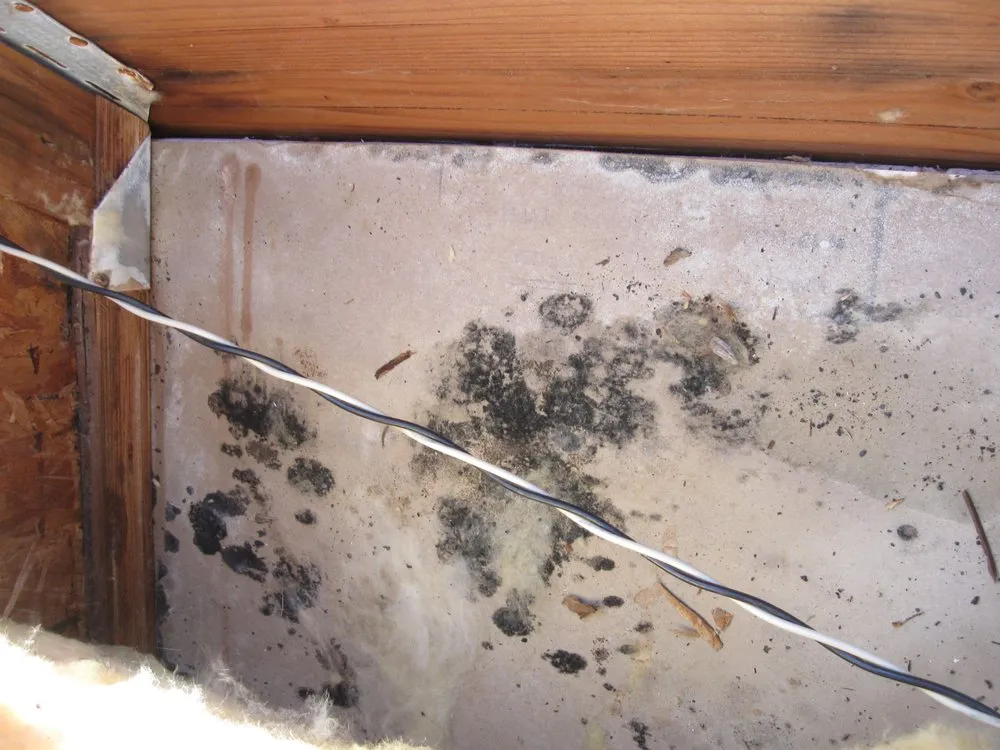 Slide of EnviroPro 360