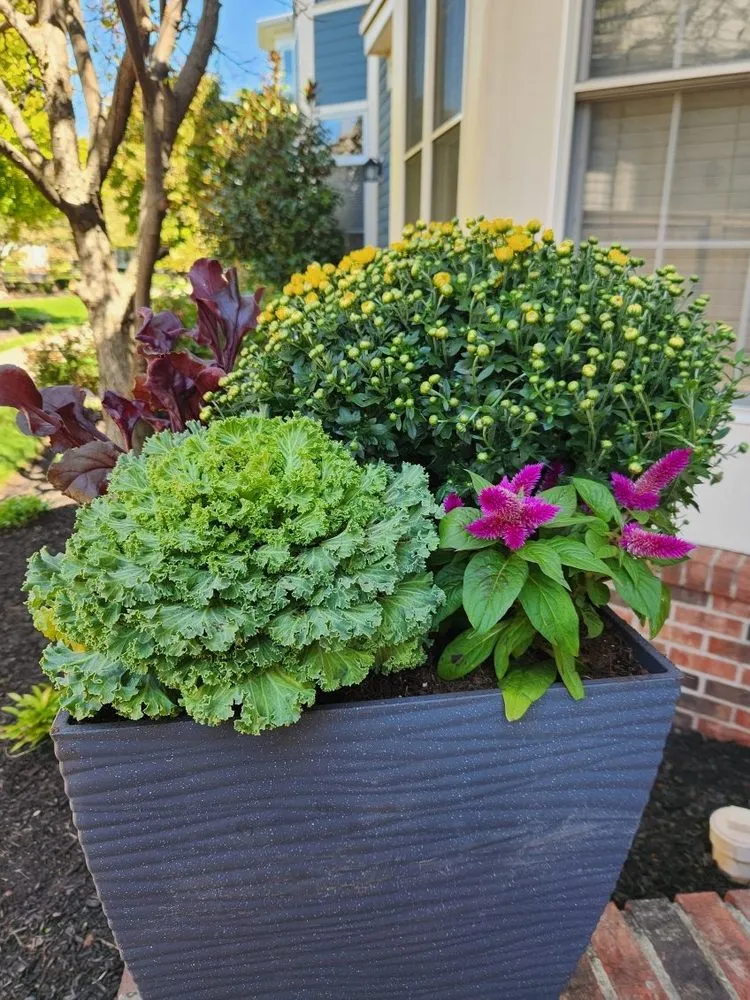 Slide of Envision Landscaping