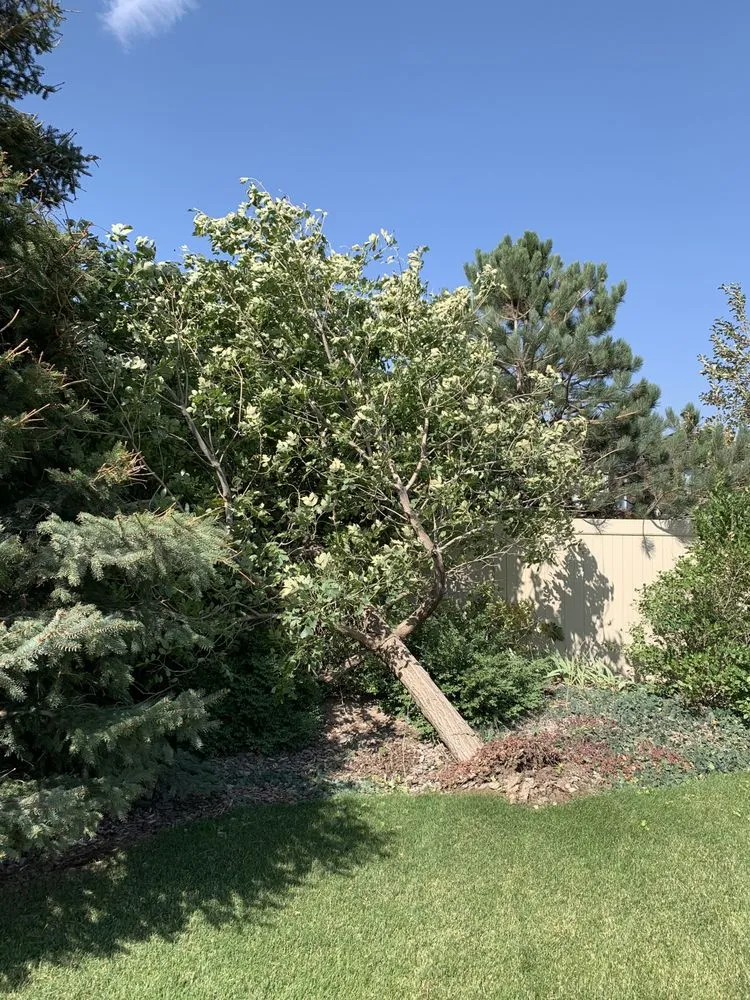 Slide of Envy Home Maintenance & Repair