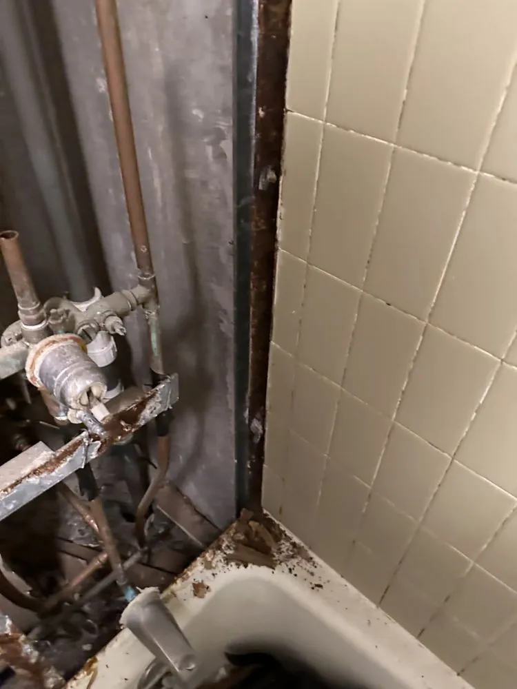 Slide of ENZ Remodeling