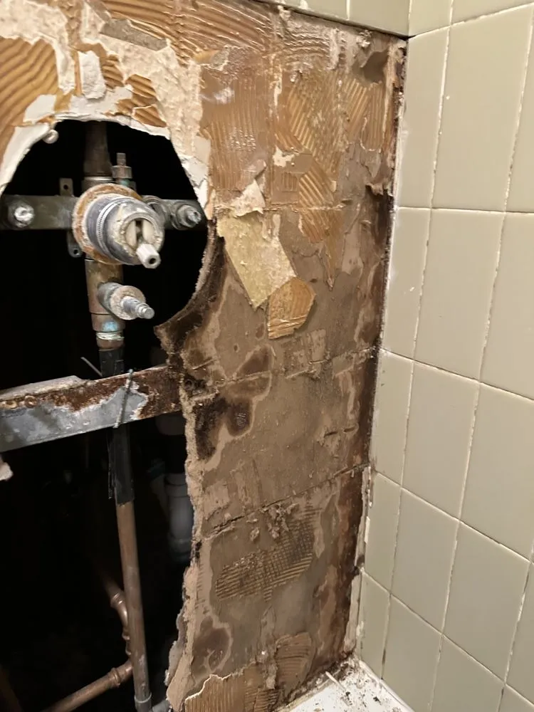 Slide of ENZ Remodeling