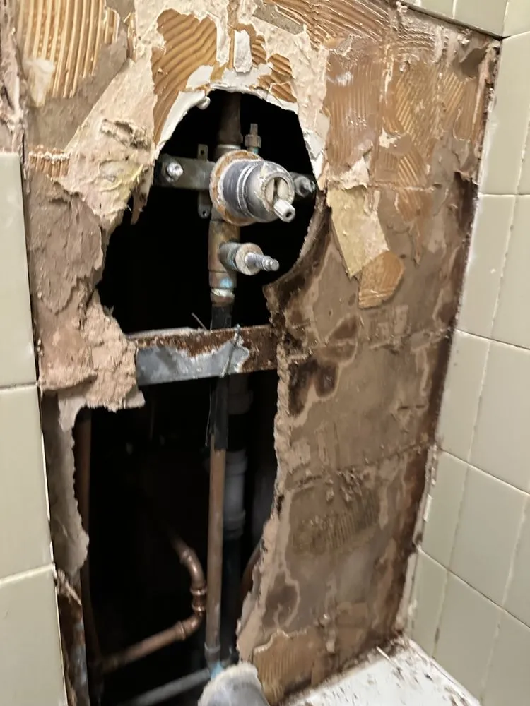 Slide of ENZ Remodeling