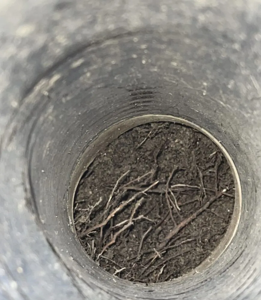 Slide of Enzo Auto Spa