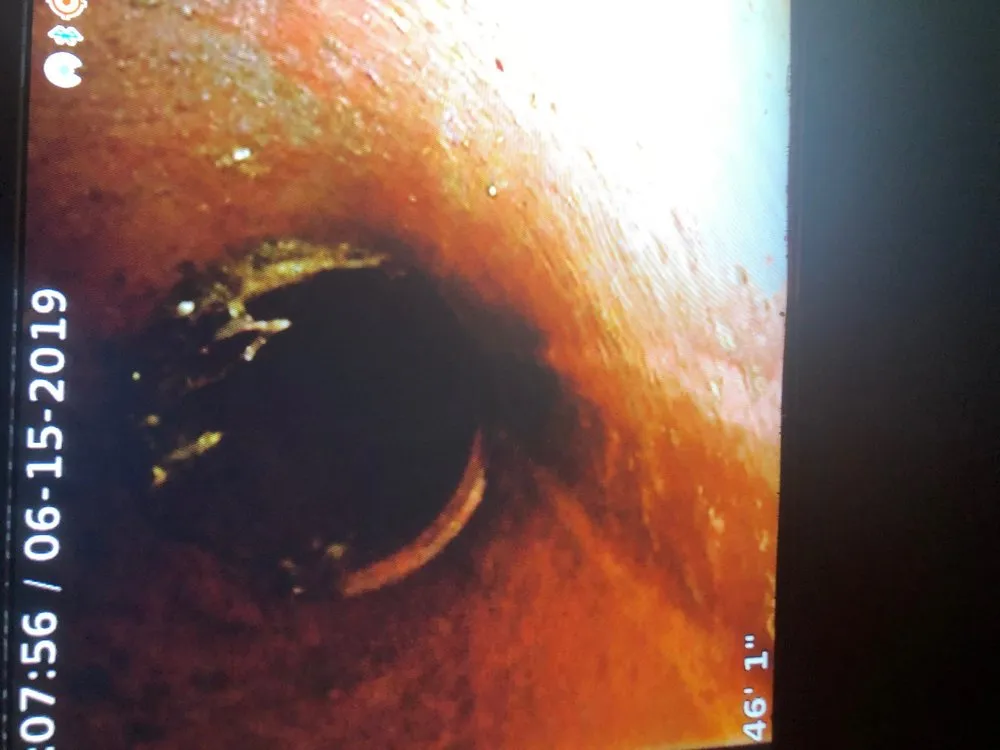 Slide of Equisure Inspectors