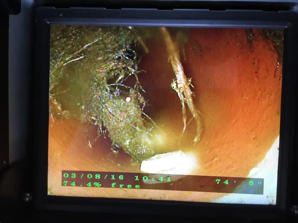 Slide of Equisure Inspectors