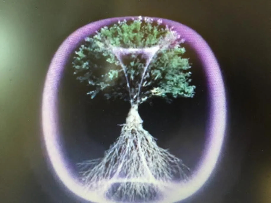 Top-rated plumbing repair experts serving Omaha, NE - Equisure Inspectors