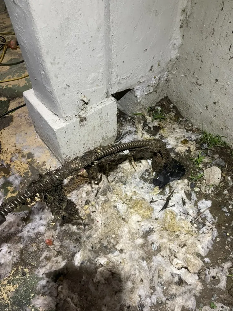 Slide of ER Plumbing