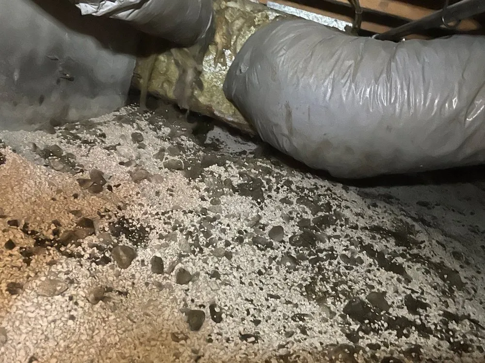 Slide of ER Restoration