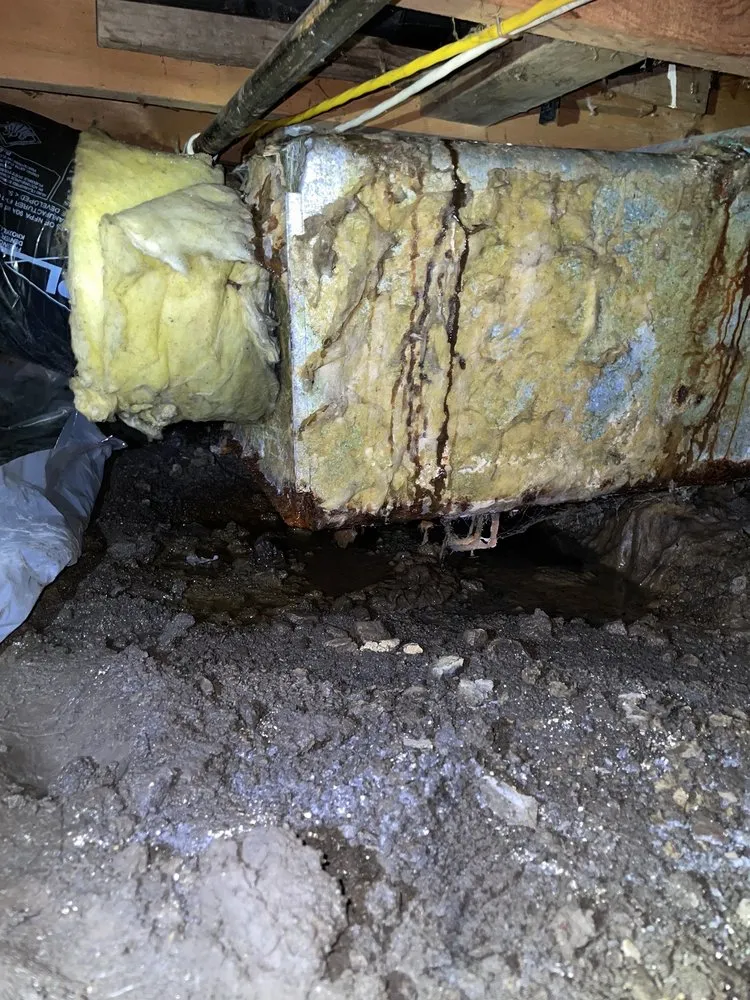 Slide of ER Restoration