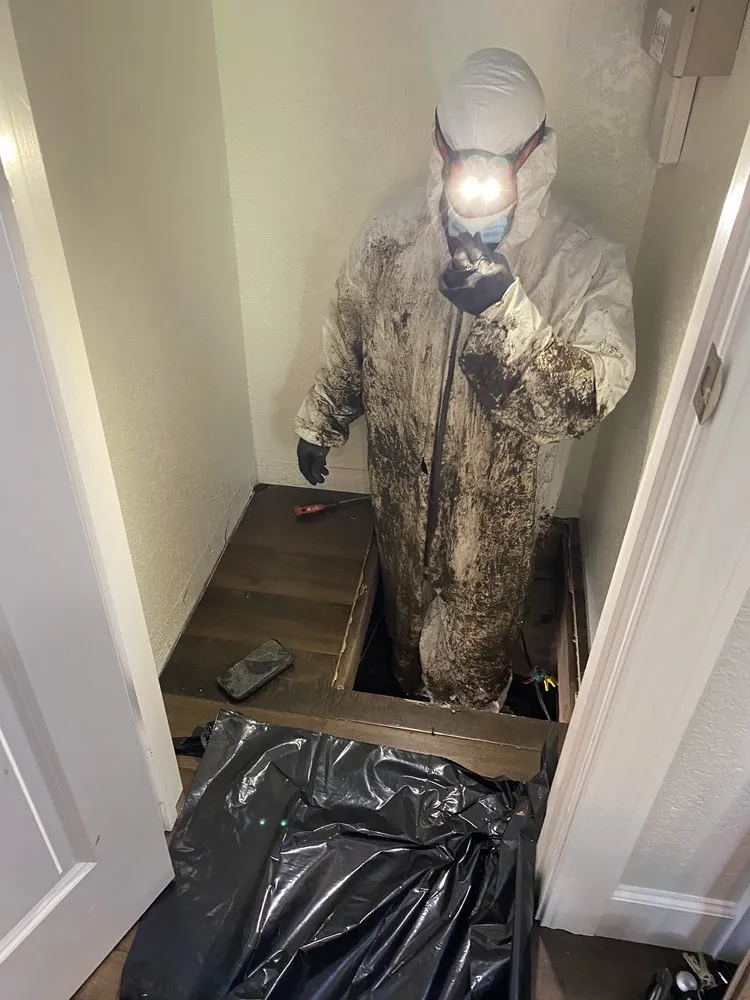 Slide of ER Restoration