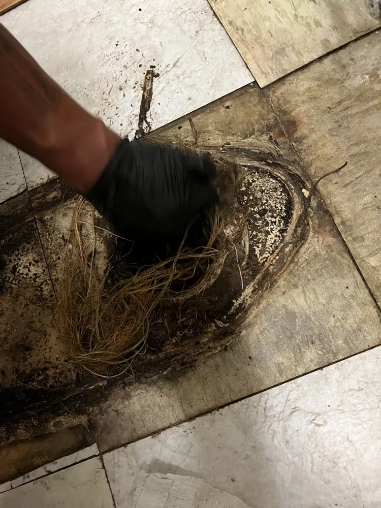 Slide of ER Restoration