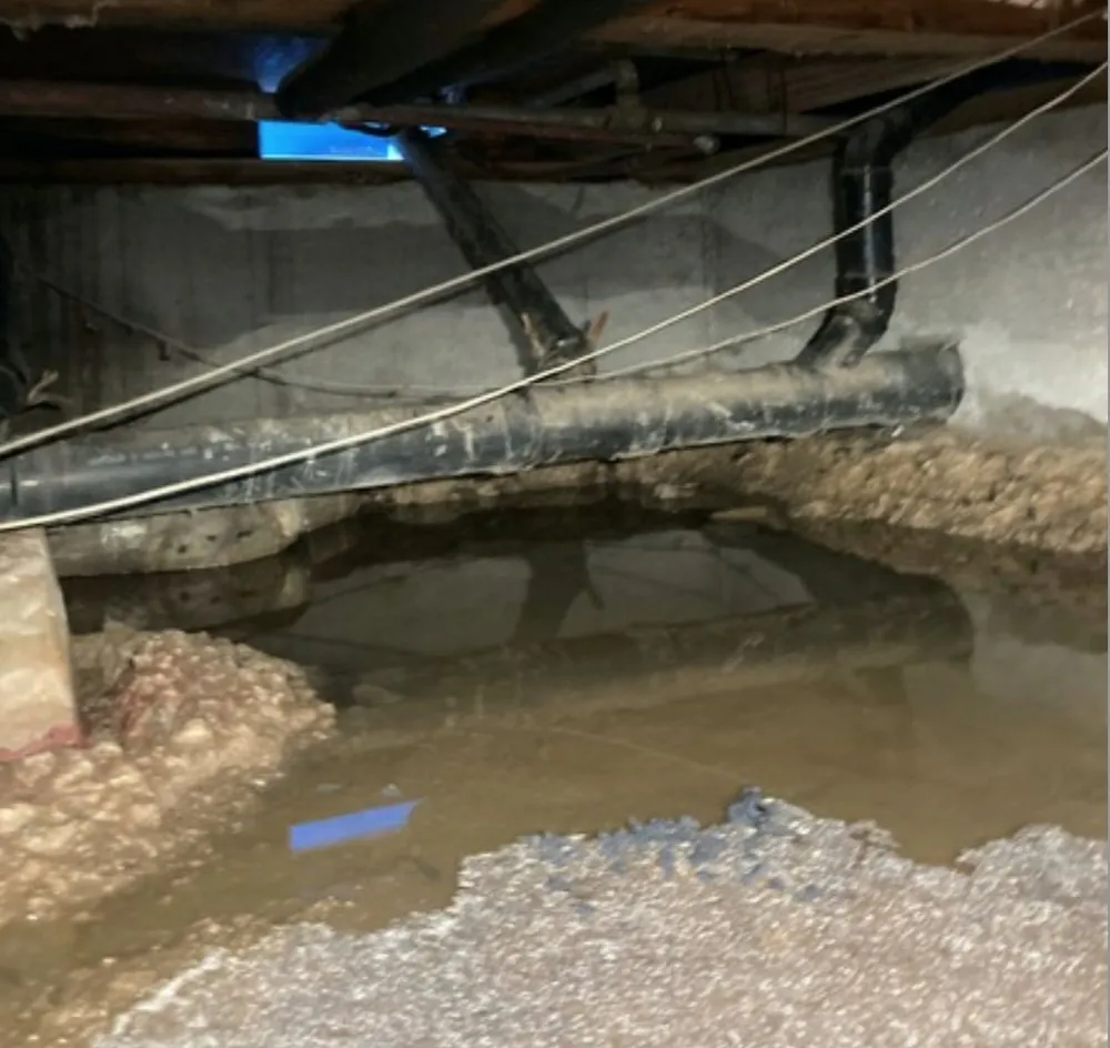 Slide of ER Restoration