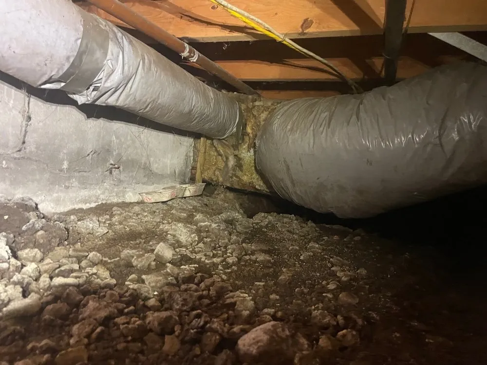 Slide of ER Restoration