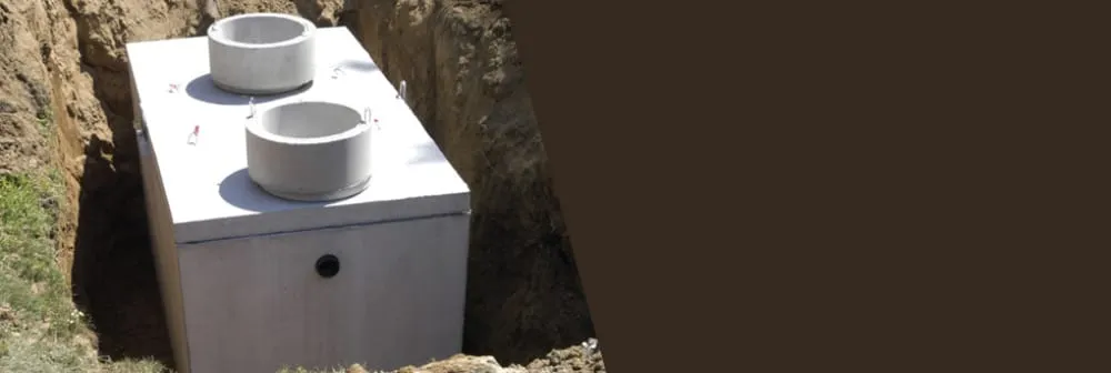 Slide of Eric Davidson & Associates