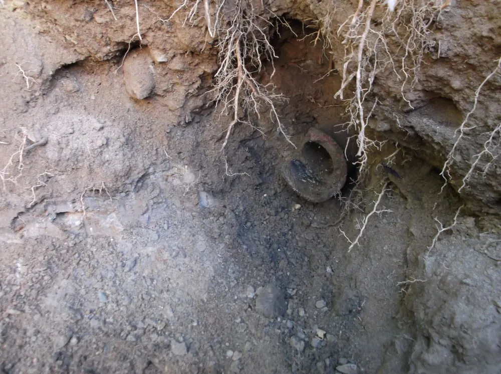 Slide of Erik D Plumber