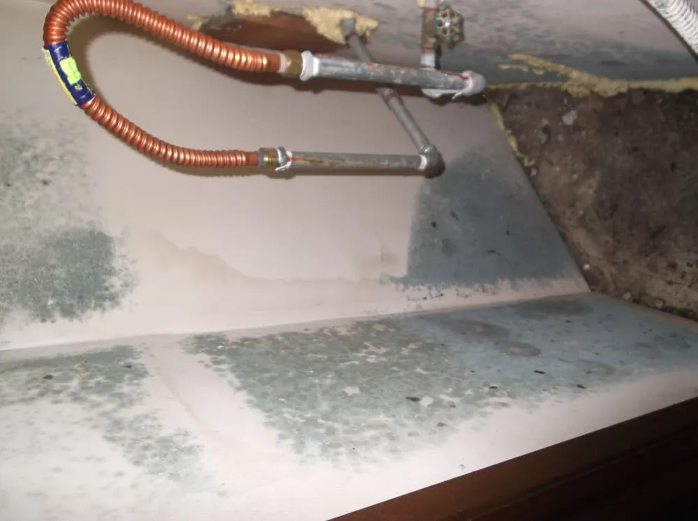 Slide of Erik D Plumber