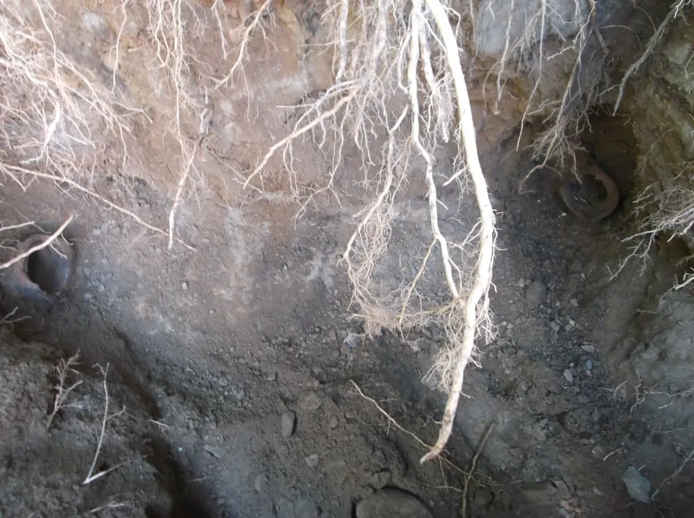 Slide of Erik D Plumber