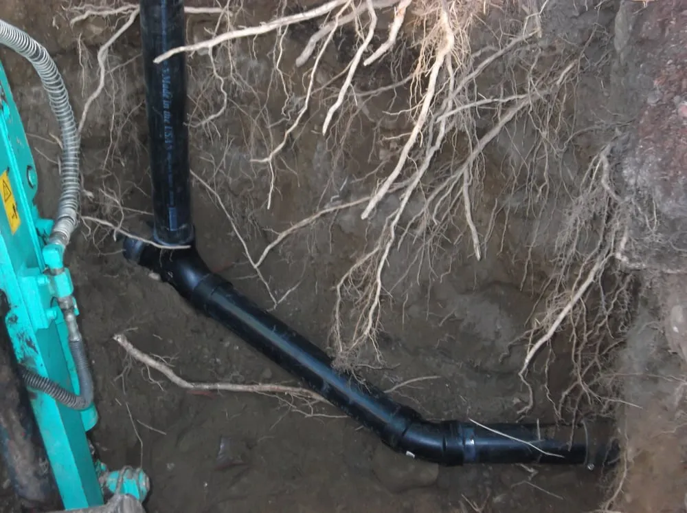 Slide of Erik D Plumber