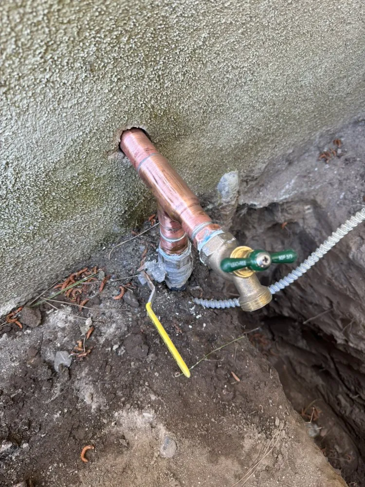 Slide of Erik’s Rooter