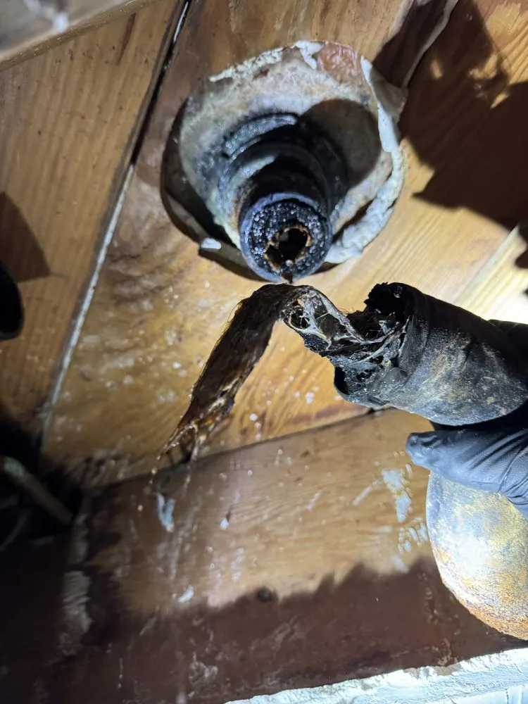 Slide of Erik’s Rooter