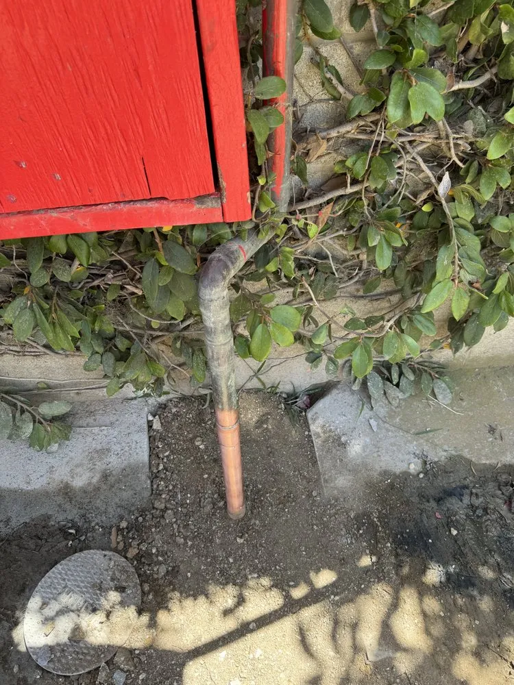 Slide of Erik’s Rooter