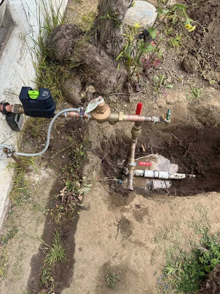 Slide of Erik’s Rooter