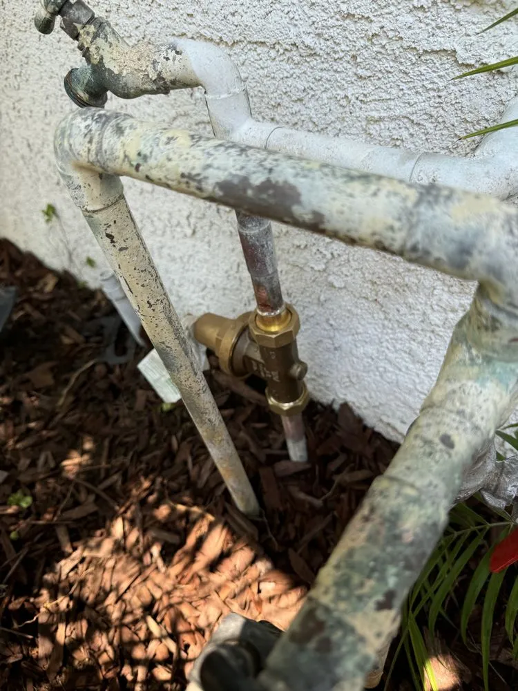 Slide of Erik’s Rooter