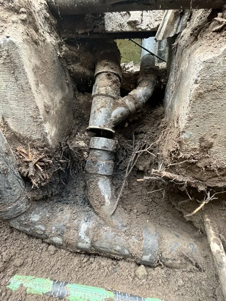 Slide of Erik’s Rooter