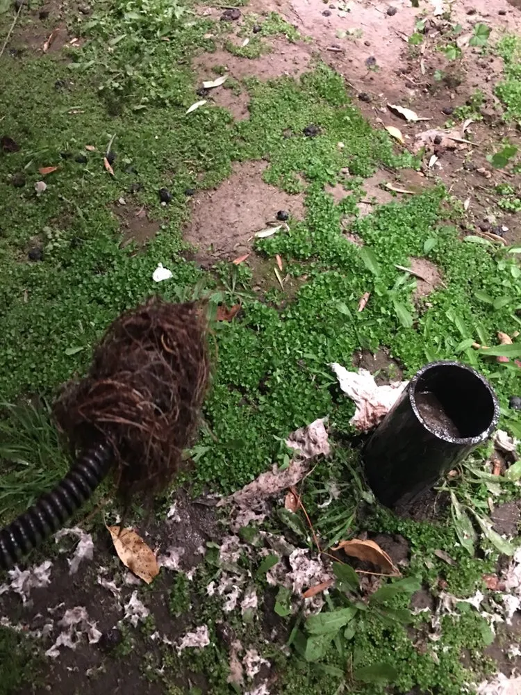 Trusted emergency plumbing for homes in Los Angeles, CA by Ervin's Plumbing