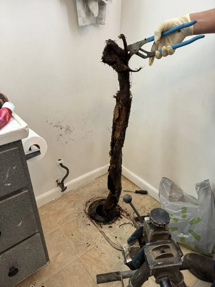 Affordable plumbing repair for homes in Berkley, CA by Erwyn's Plumbing Inc.