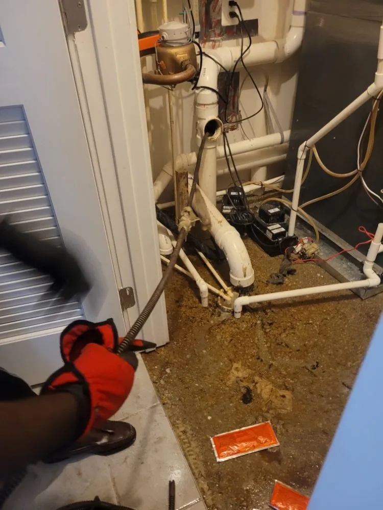 Slide of Essential Automation