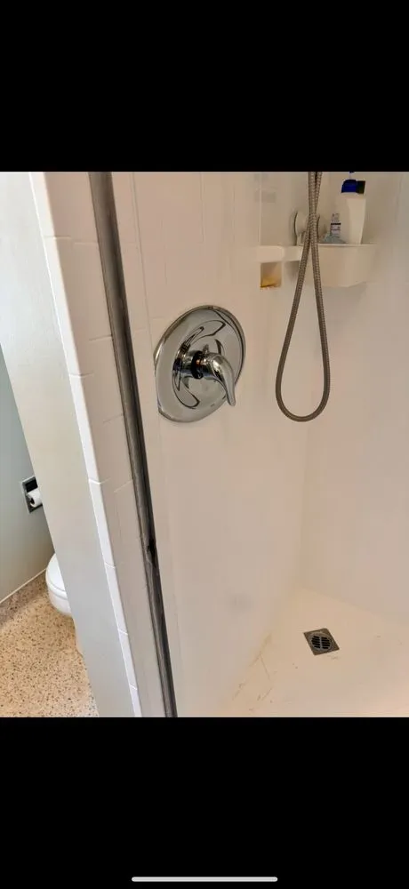 Slide of Essential plumbing