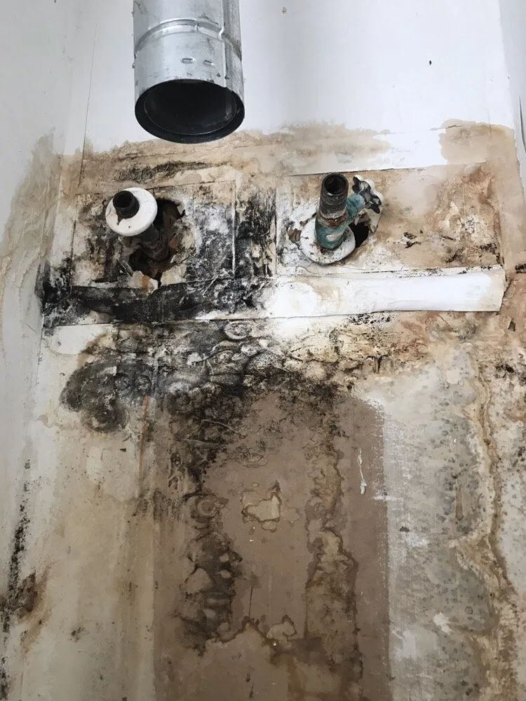 Slide of Essential Plumbing Skotak Services