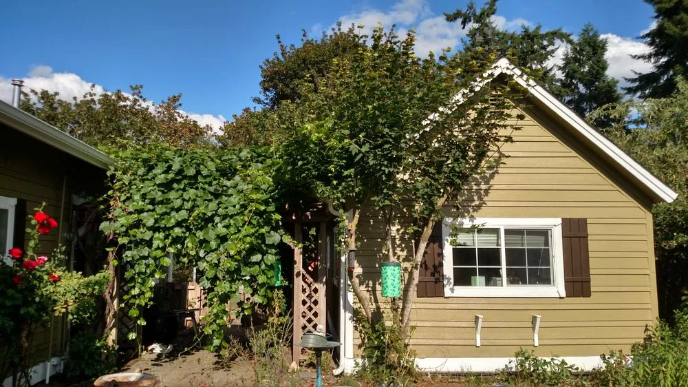 Emergency plumbing repair in Woodinville, WA by Estafette Services