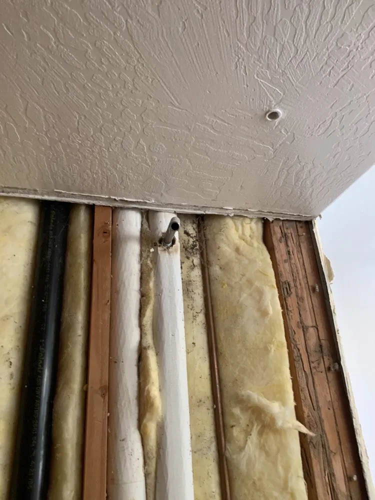 Slide of Estate Leak Detection and Plumbing