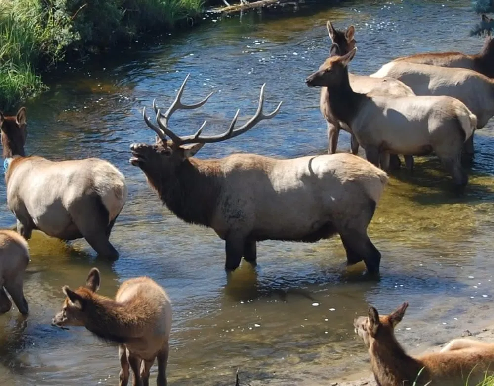 Slide of Estes Park Plumbers