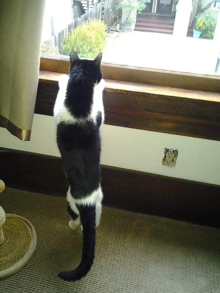 Slide of Ethan's Plumbing