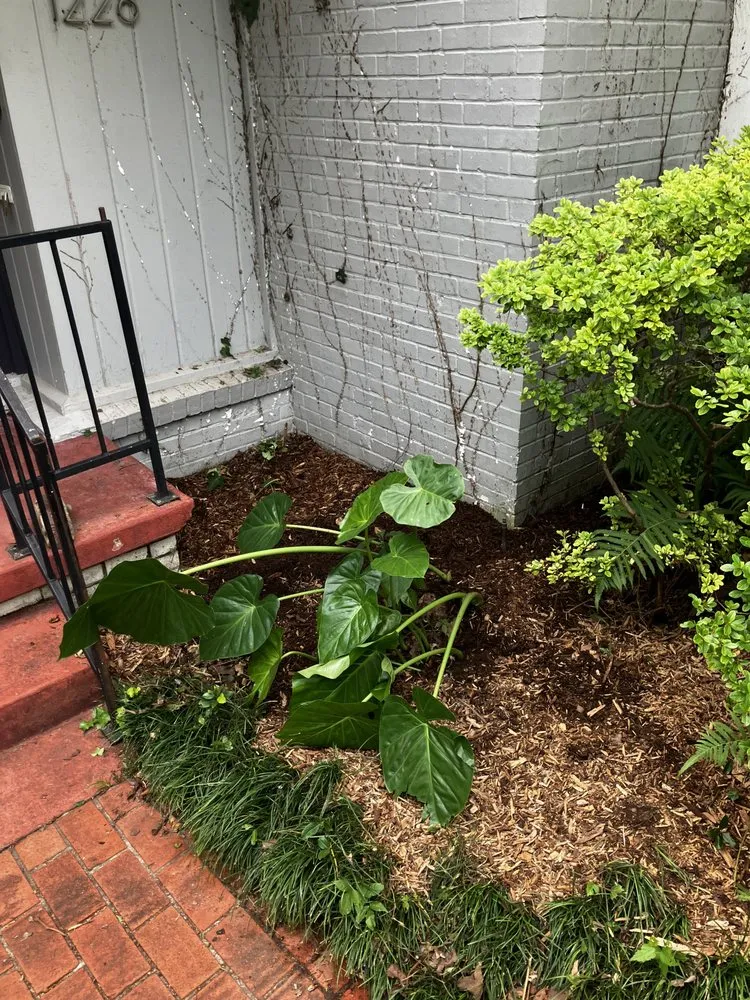 Slide of ETX Handyman & Repair