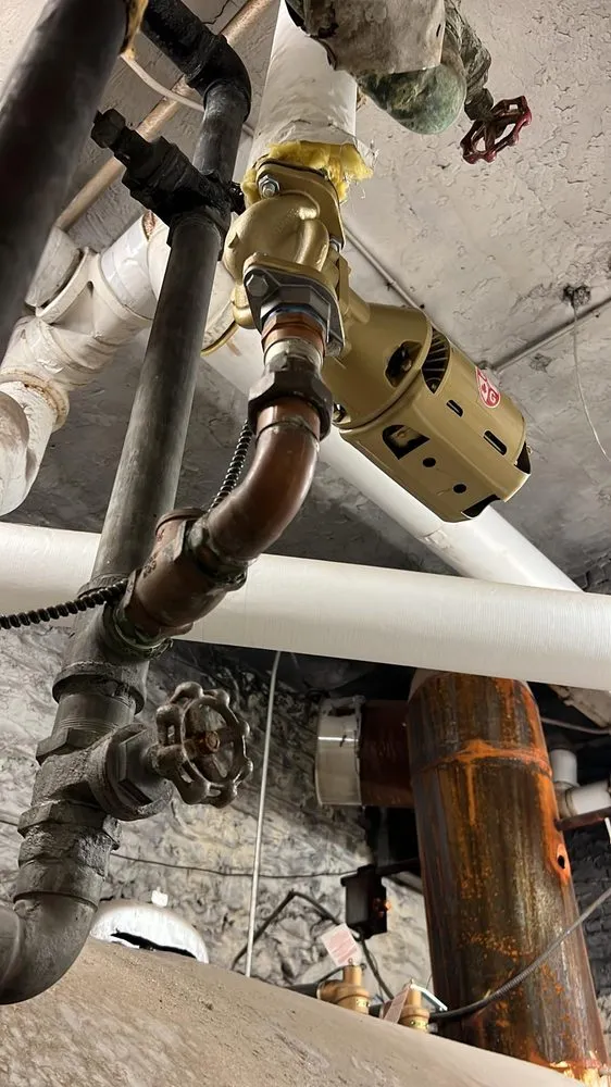 Slide of Eudomal Plomero